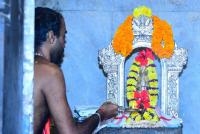 Brahmakalashanga Rathotsava at Shrimath Anantheshwar Temple Vittal (4 May 2025)